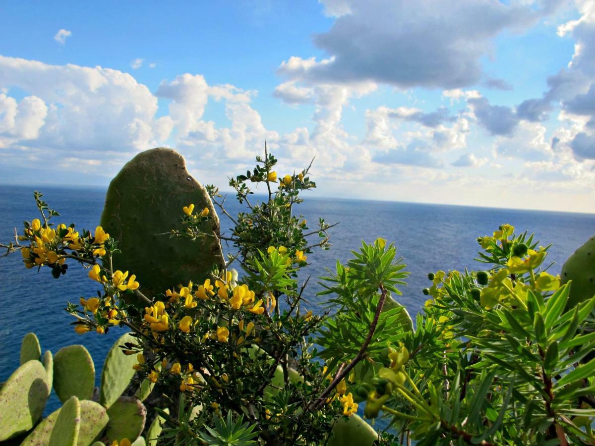 Casa Vacanze Miceli تروبيا المظهر الخارجي الصورة